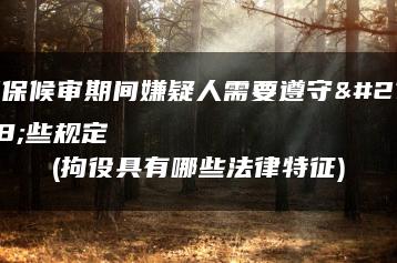 中国保释制度详解：保释条件、义务及保证人要求_允道律师网