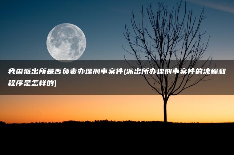 我国派出所是否负责办理刑事案件(派出所办理刑事案件的流程和程序是怎样的)