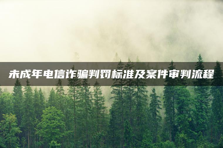 未成年电信诈骗判罚标准及案件审判流程