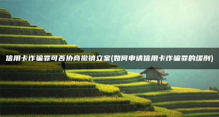 信用卡诈骗罪可否协商撤销立案(如何申请信用卡诈骗罪的缓刑)